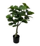 Ficus Kunstpflanze