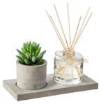 Elegantes Duftset + Topf mit Kaktus Grau - Kunststoff - 21 x 12 x 10 cm