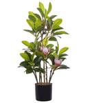 Plante artificielle MAGNOLIA Noir - Vert - Matière plastique - 35 x 70 x 35 cm