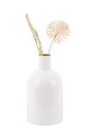 Vase Ivy Bottle Straight Blanc