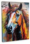 Leinwandbild Buntes-Pferd 80 x 120 cm