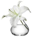 Sprig Flower klar Vase,
