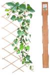 Climbing Rack Pflanzen ausziehbare Braun - Holzwerkstoff - 90 x 1 x 180 cm