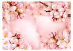 Fototapete Magical Cherry Blossom