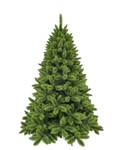 Weihnachtsbaum Camden 104 x 155 x 104 cm