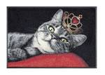 Paillasson ROYAL CAT Noir - Matière plastique - 50 x 7 x 75 cm
