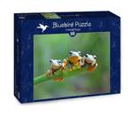 Friendly 500 Teile Frogs Puzzle