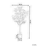 Plante artificielle FIG TREE Noir - Vert - Matière plastique - 80 x 162 x 80 cm