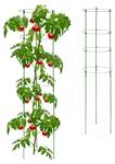 Support plantes grimpantes lot de 2 Vert - Métal - Matière plastique - 28 x 120 x 28 cm