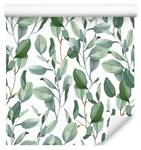 Tapete Eukalyptus BLÄTTER Pflanzen Natur Beige - Grün - Weiß - Papier - Textil - 53 x 1000 x 1000 cm