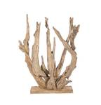 Sculpture de branches en teck H 120 cm Beige - Bois massif - 20 x 120 x 82 cm