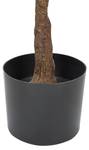 Plante artificielle FICUS ELASTICA 66 x 160 x 66 cm