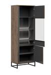 Vitrinenschrank Luton Braun - Holzwerkstoff - 67 x 197 x 40 cm