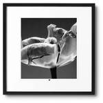 Photo d`art limitée Flower of Cordiality Noir - Blanc - Verre - Papier - 50 x 50 x 3 cm