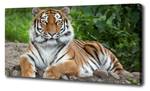 Wandbild Sibirischer Tiger Braun - Textil - Holz teilmassiv - 100 x 50 x 4 cm