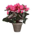 Cyclamen Kunstpflanze