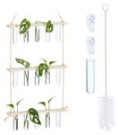 Hängende Pflanzen Vermehrungsstation Braun - Holzwerkstoff - Glas - 36 x 86 x 5 cm