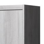 Mehrzweckschrank Soft Plus II Silbereiche Dekor