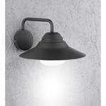 Buitenwandlamp Paria glas/metaal - 1 lichtbron