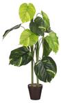 Plante artificielle Caladium Vert - Textile - 50 x 100 x 50 cm