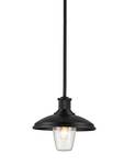 Kichler Lampe suspendue extérieure Noir - Verre - 31 x 37 x 31 cm