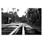 Impression d'art Jungletrain Toile - Noir / Blanc