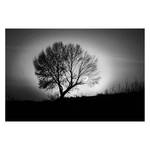 Bild Tree Lonely Black