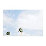 Leinwandbild Palm Beach Leinwand - Hellblau / Weiß - Breite: 60 cm