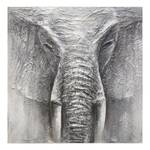 Bild Rimbo Elephant Grau - Weiß - Textil - 100 x 100 x 5 cm