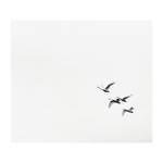Leinwandbild Swanrise Leinwand - Schwarz / Weiß - Breite: 50 cm