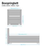Boxspringbett Maila Kunstleder - Lichtgrau - 80 x 200cm - H2