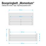 Boxspringbett Momentum inklusive Topper & Beleuchtung - Feinstrukturstoff Grau/Braun