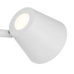 LED-plafondspot Torsion I ijzer - 2 lichtbronnen