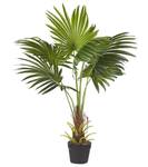 Kunstpflanze FAN PALM Schwarz - Grün - Kunststoff - 35 x 100 x 30 cm