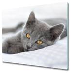 Schneidebrett Graue Katze Tiefe: 60 cm