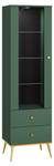 Vitrine FORT SC55 1D2D Vert - Bois manufacturé - Matière plastique - 55 x 190 x 40 cm