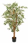 Kunstpflanze Ficus 75 x 150 x 75 cm