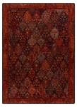 Tapis en Laine Superior Kain Rubis 200 x 300 cm