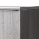 Armoire polyvalente Soft Plus IV Imitation chêne argent