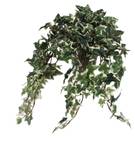 Plante artificielle suspendue Efeu Vert - Pierre - Textile - 25 x 45 x 25 cm