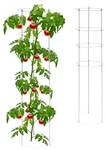 Tuteur à tomates gris en lot de 2 Gris - Métal - Matière plastique - 30 x 120 x 30 cm