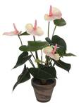 Plante artificielle Anthurium Rose clair