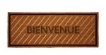 Fu脽matten Doormat Bienvenue RM