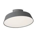 Lampada da soffitto Alba 1 luce