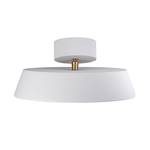 Lampada da soffitto Alba 1 luce