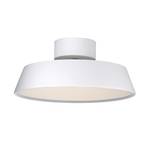 Lampada da soffitto Alba 1 luce