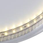 Lampada da soffitto Circle Metallo/Materiale sintetico Color argento