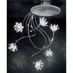 Lampada da soffitto Fiorella Silber Metallo/Vetro 6 luci