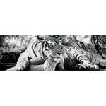 Impression d’art Tigerblick I Gris - Blanc - Bois manufacturé - Papier - 156 x 52 x 2 cm