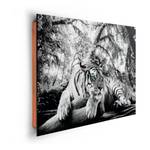 Impression d’art Tigerblick II Gris - Blanc - Bois manufacturé - Papier - 90 x 60 x 2 cm